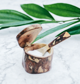 Upavim Crafts Repurposed Coffeewood Mini Salt Box and Spoon