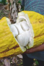 Equal Exchange Organic Hot Cocoa Mix - 12oz