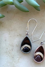 Women of the Cloud Forest Idomeneus Giant Owl Butterfly Earrings