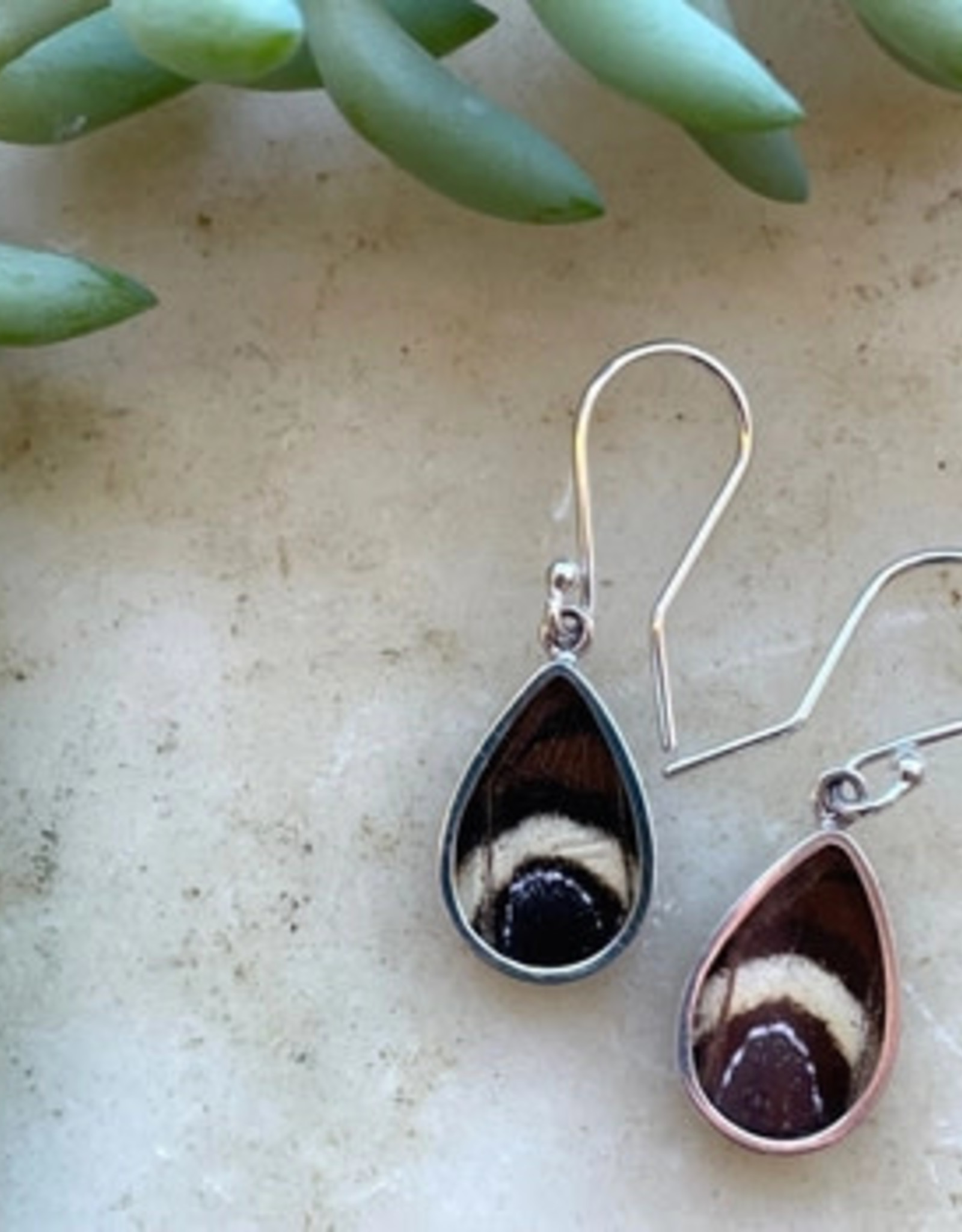 Women of the Cloud Forest Idomeneus Giant Owl Butterfly Earrings