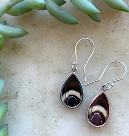 Women of the Cloud Forest Idomeneus Giant Owl Butterfly Earrings