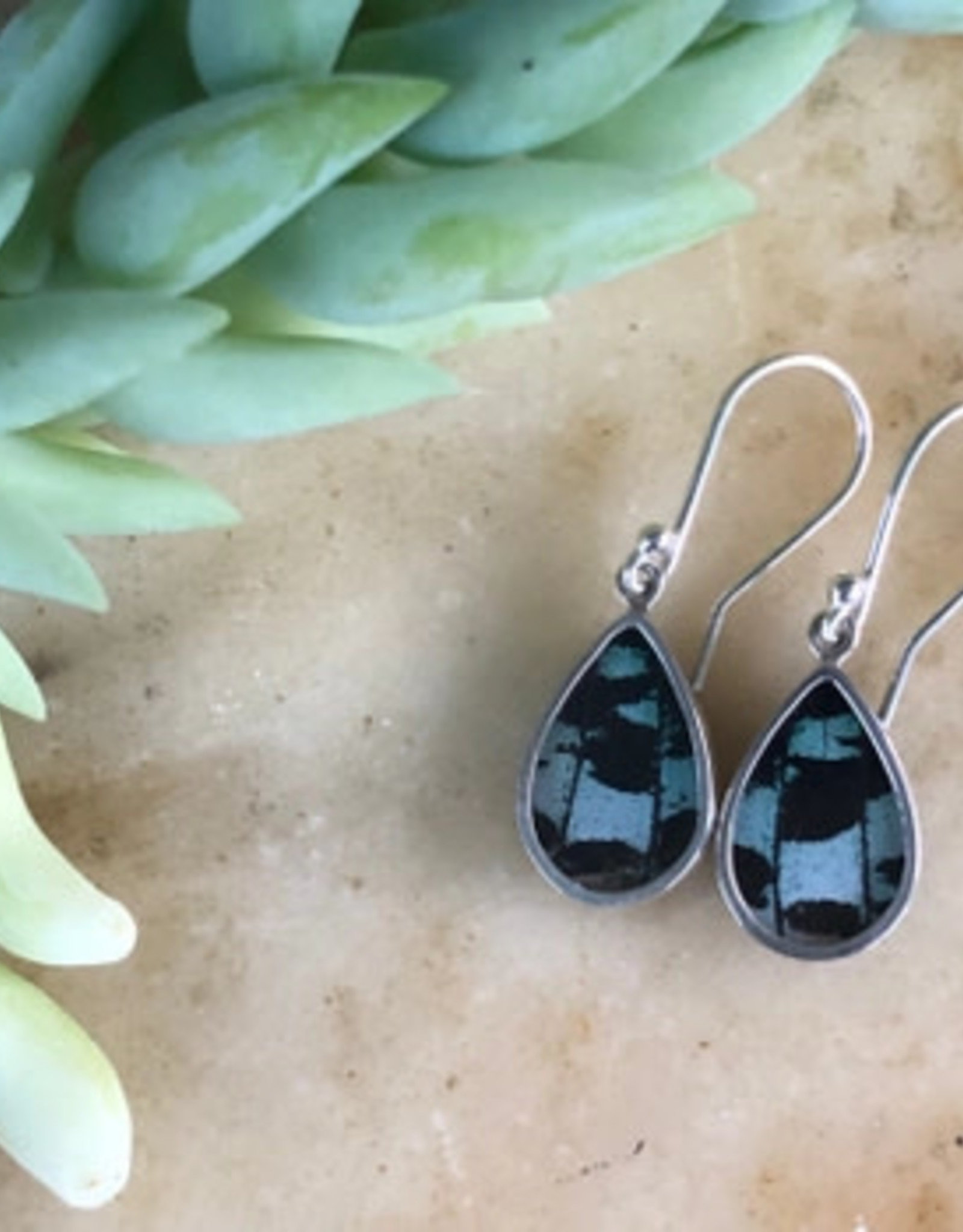 Women of the Cloud Forest Day-Flying Moth Earrings