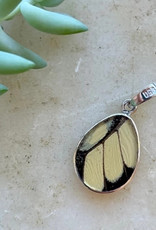 Women of the Cloud Forest King Swallowtail Butterfly Pendant