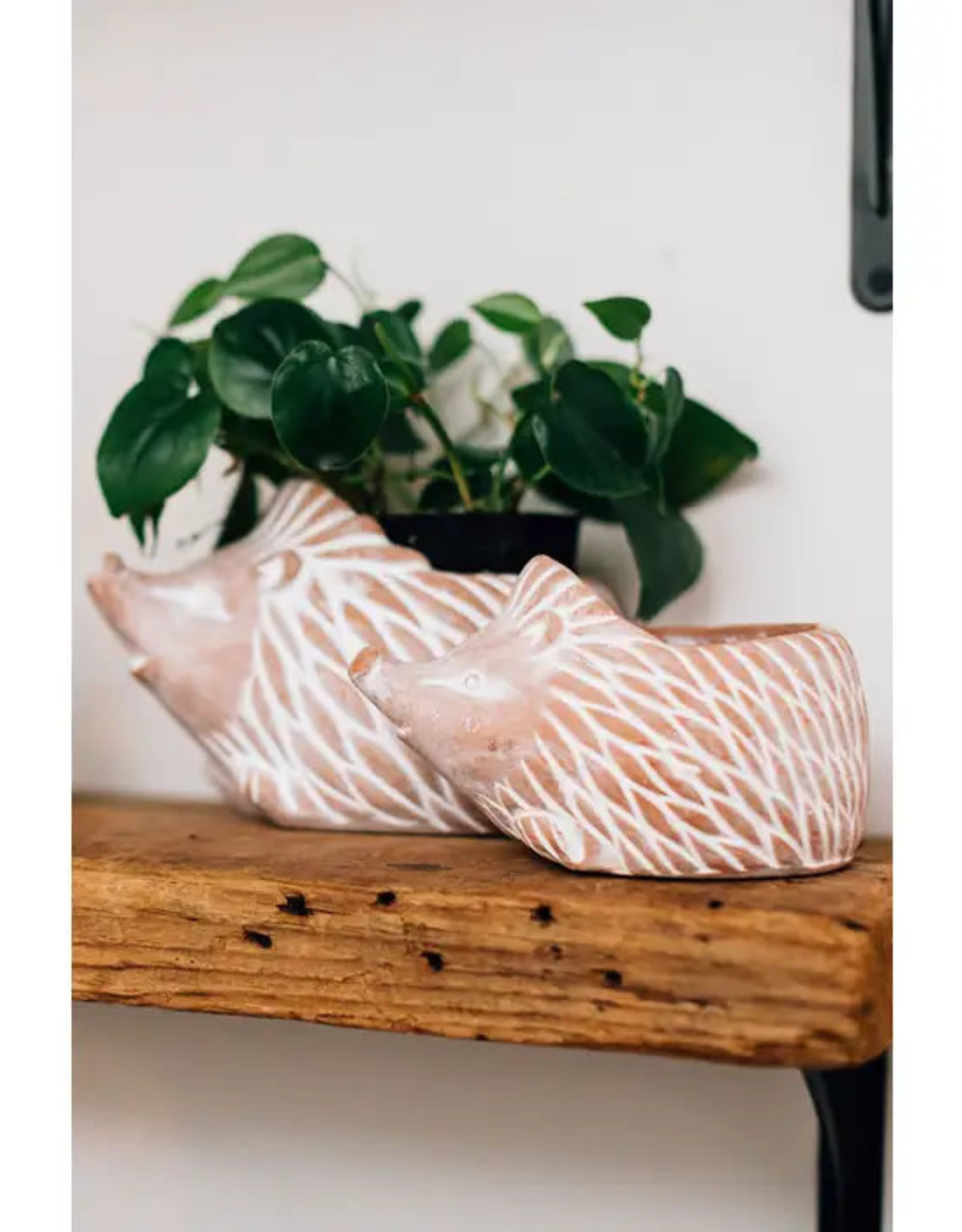 Ten Thousand Villages Hedgehog Terracotta Planter (Small)