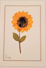 Pampeana Sunflower Greeting Card