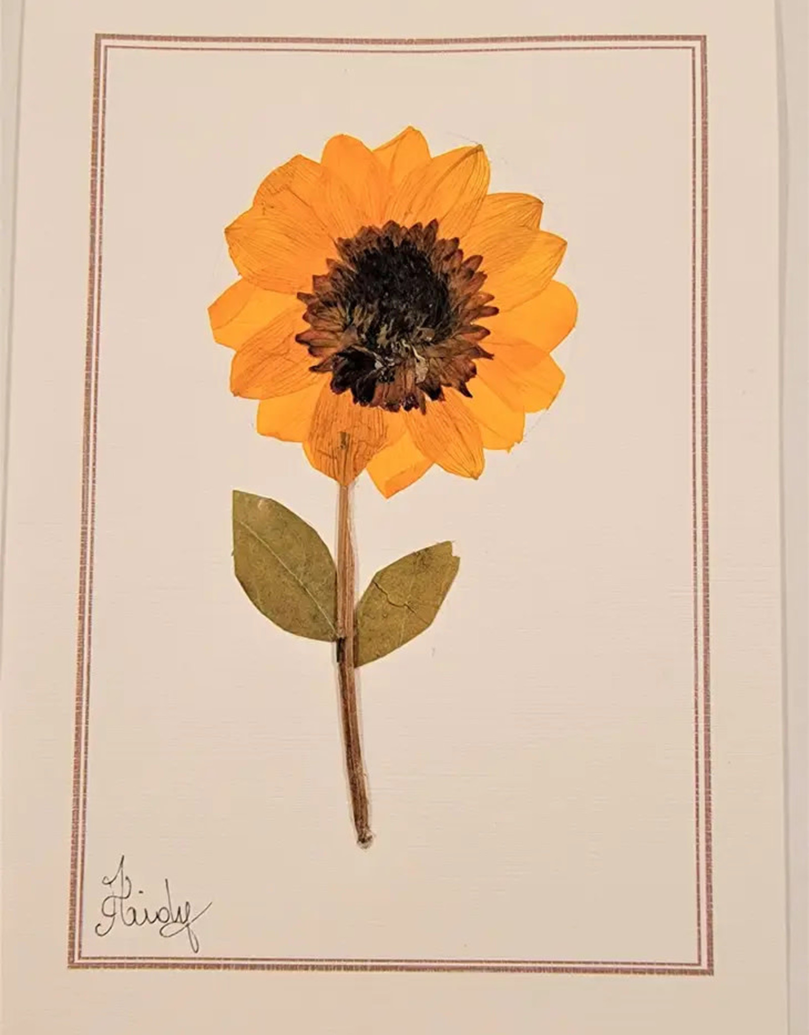 Pampeana Sunflower Greeting Card