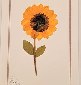 Pampeana Sunflower Greeting Card