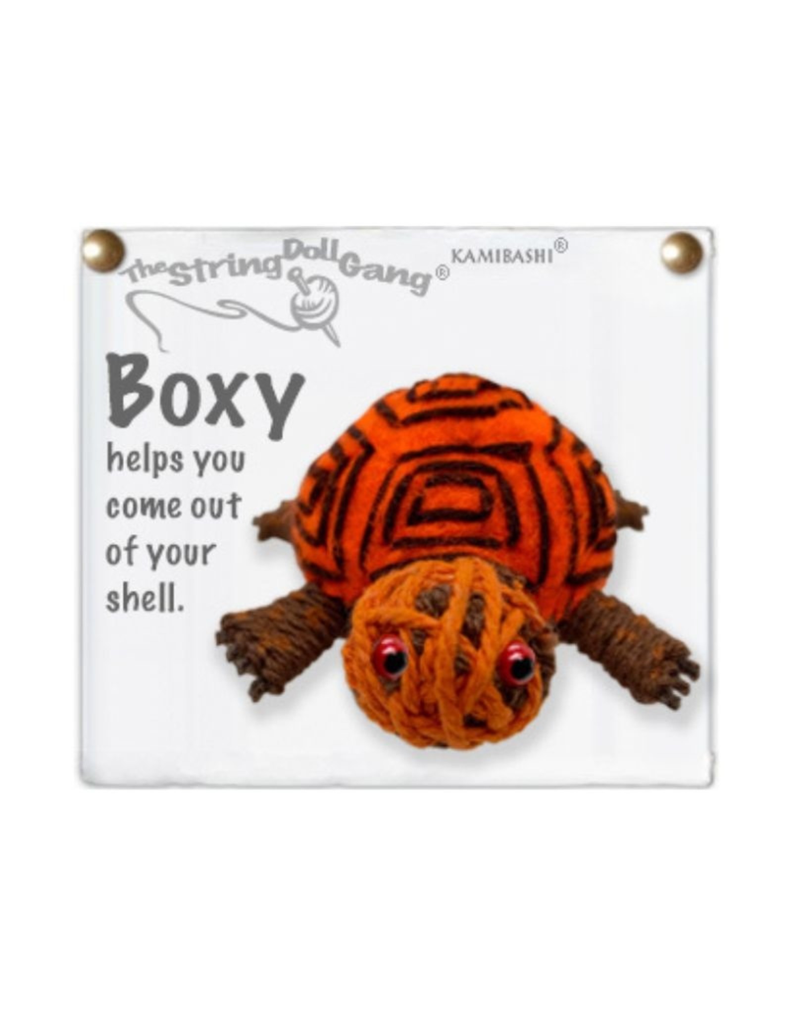 Kamibashi Boxy The Box Turtle