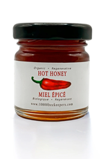 African Bronze Honey Hot Honey Mini Jar