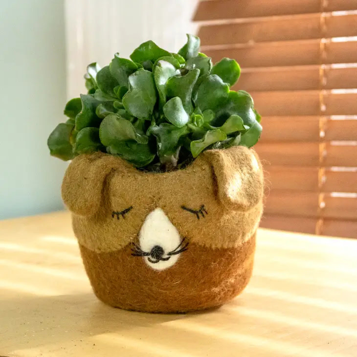 felt planters Felt planter/hygge decor/felted bowl/Succulent pod/scandinavian decor/ –  The Yarn Kitchen