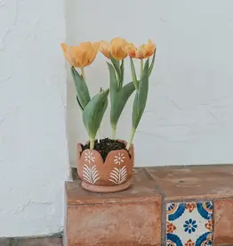 Matr Boomie Vasanta Petals Planter with Drainage - Terracotta