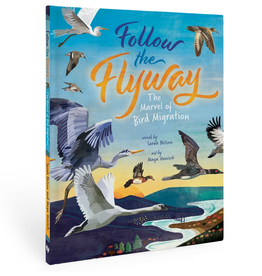 Barefoot Books Follow the Flyway (Hardback)