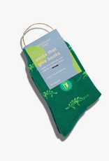 Conscious Step Kids Socks that Give Books (Dino)