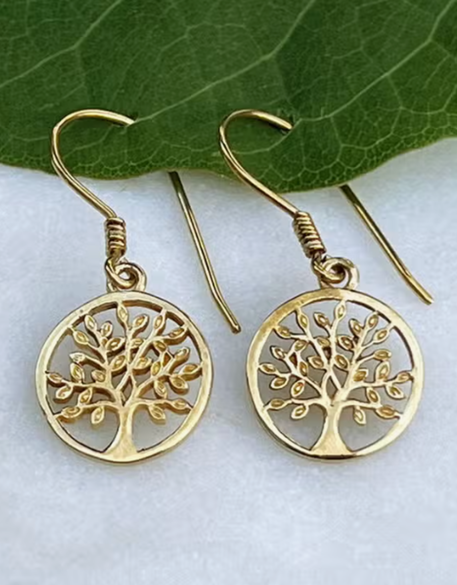 Women's Peace Collection Tree of Life Earrings - Brass
