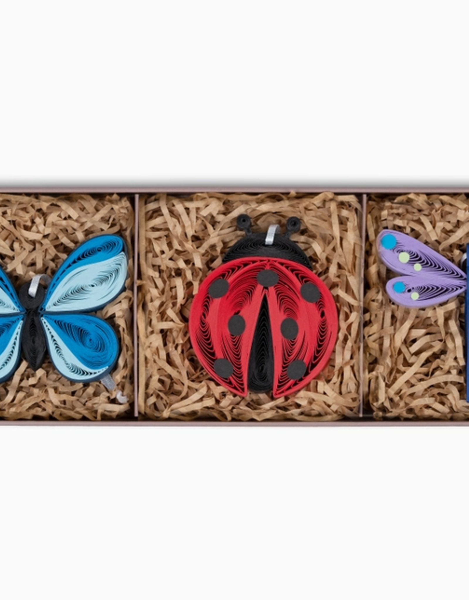 Quilling Card Quilled Insect Ornaments (Set of 3)