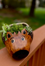 Blossom Inspirations Hedgehog Planter Pot
