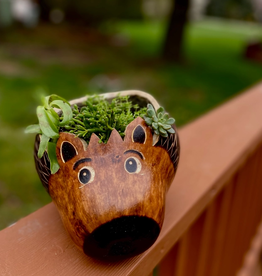 Blossom Inspirations Hedgehog Planter Pot