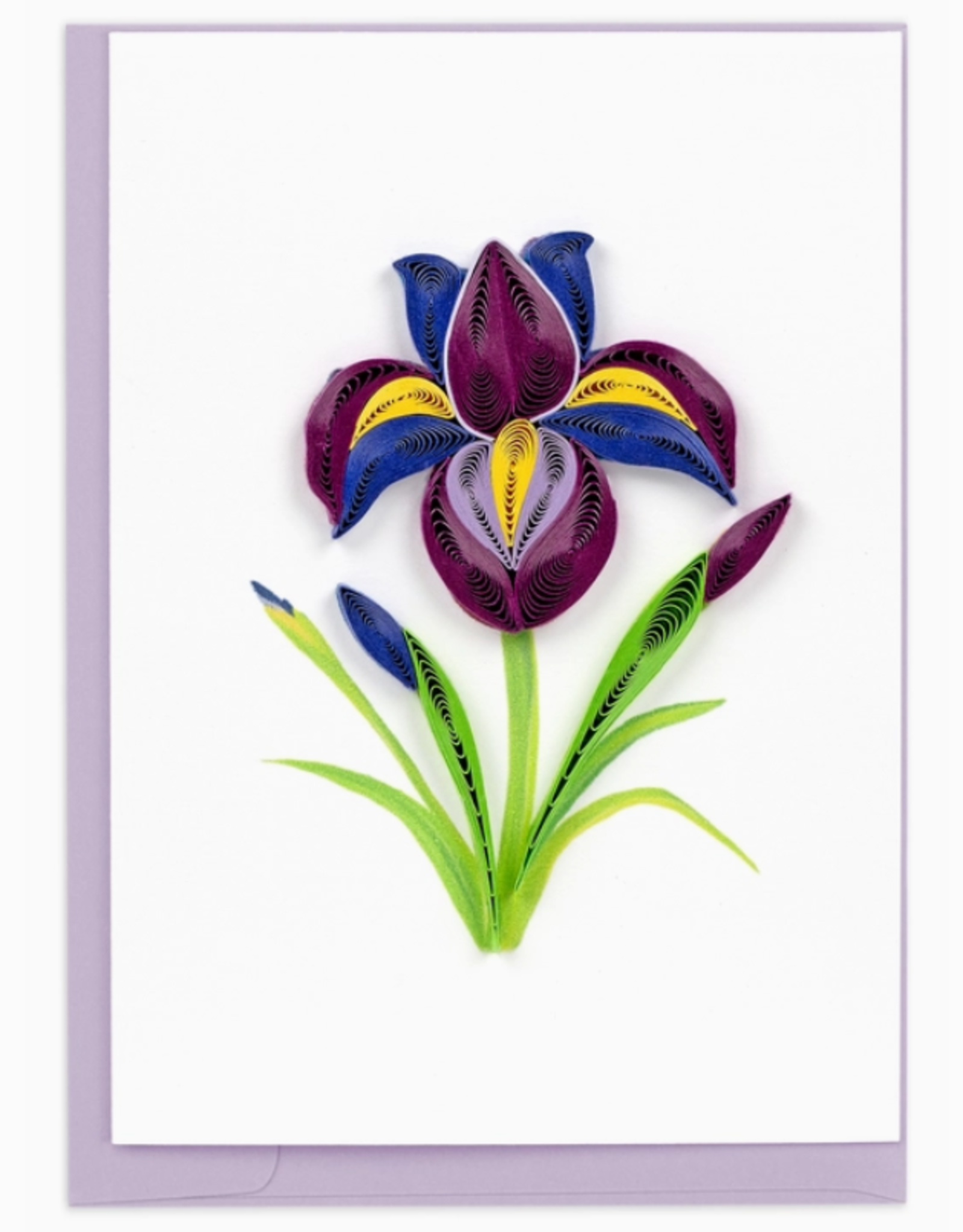 Quilling Card Quilled Iris Flower Gift Enclosure Mini Card