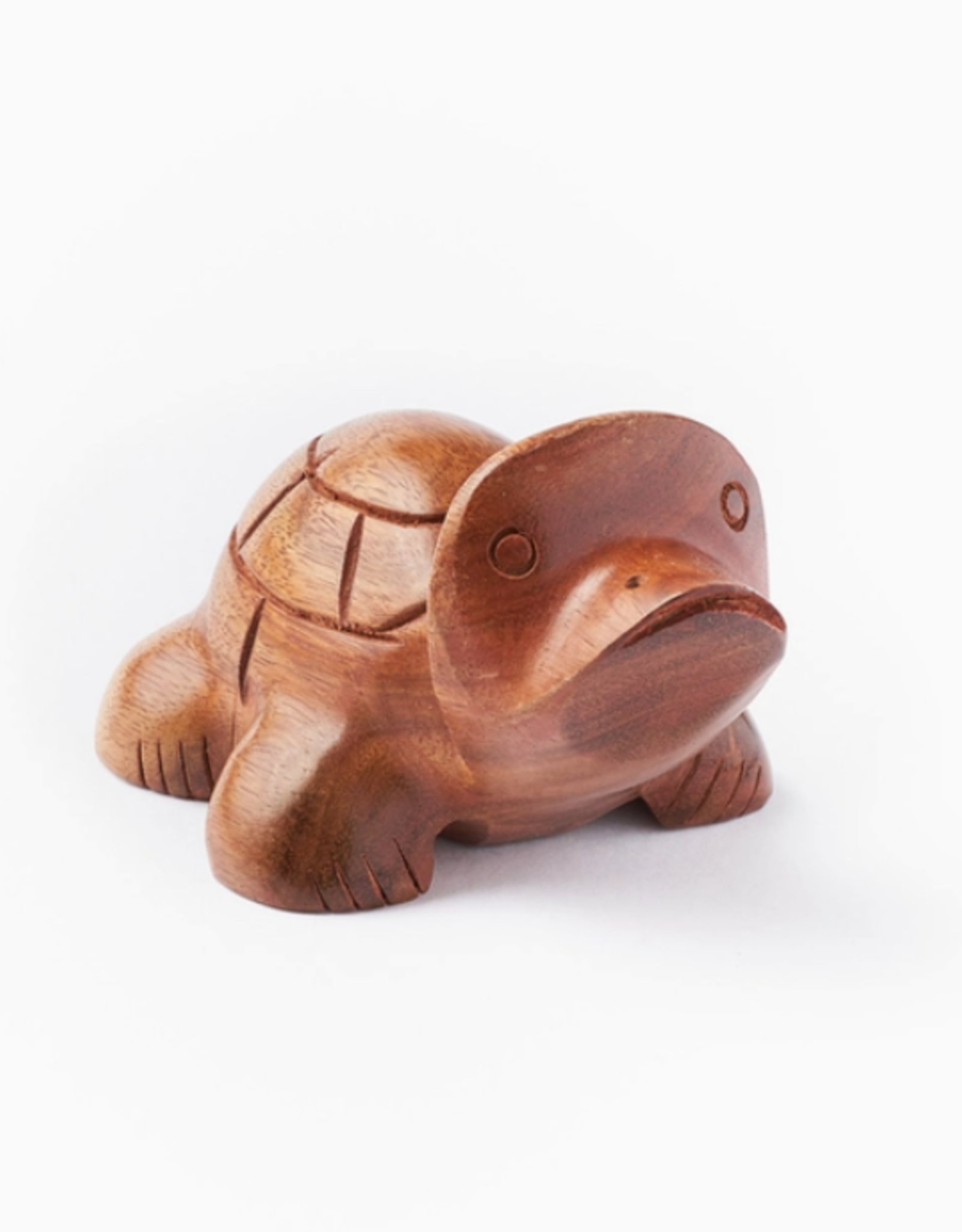 Matr Boomie Turtle Eyeglasses Holder Stand