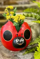 Blossom Inspirations Lady Bug Planter Pot