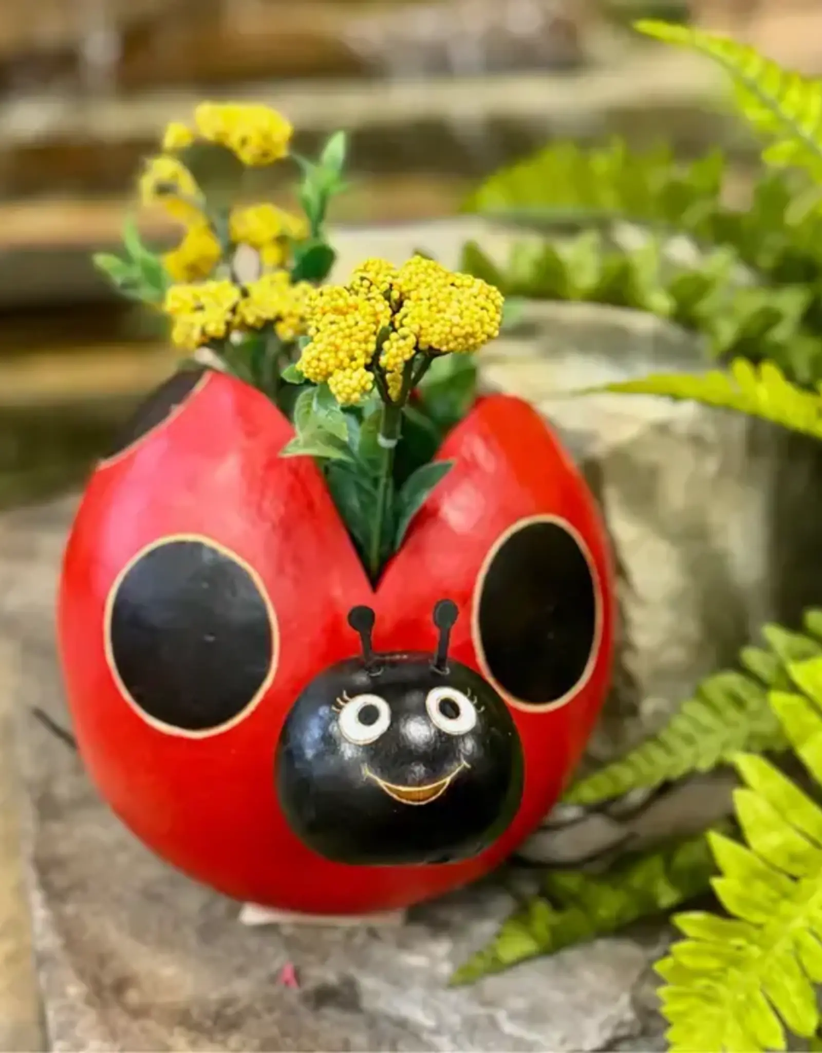 Blossom Inspirations Lady Bug Planter Pot