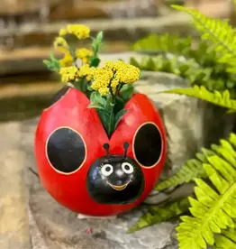 Blossom Inspirations Lady Bug Planter Pot