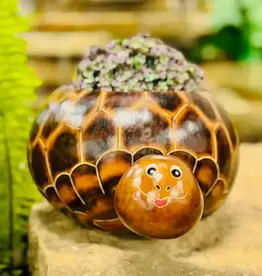 Blossom Inspirations Turtle Planter Pot