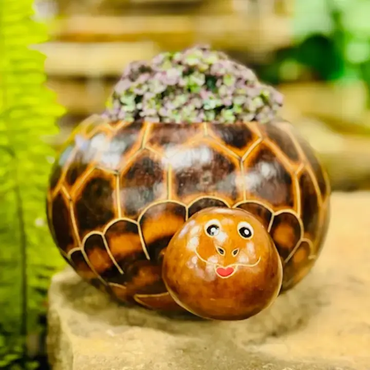 Turtle Planter Pot - Bunyaad