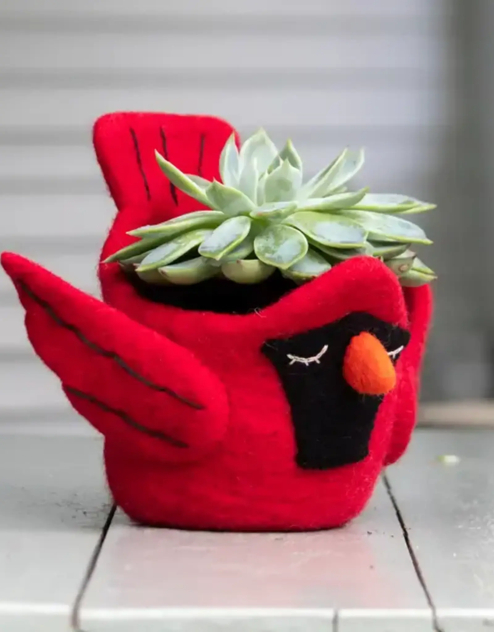 dZi Handmade Cardinal Felt Pot