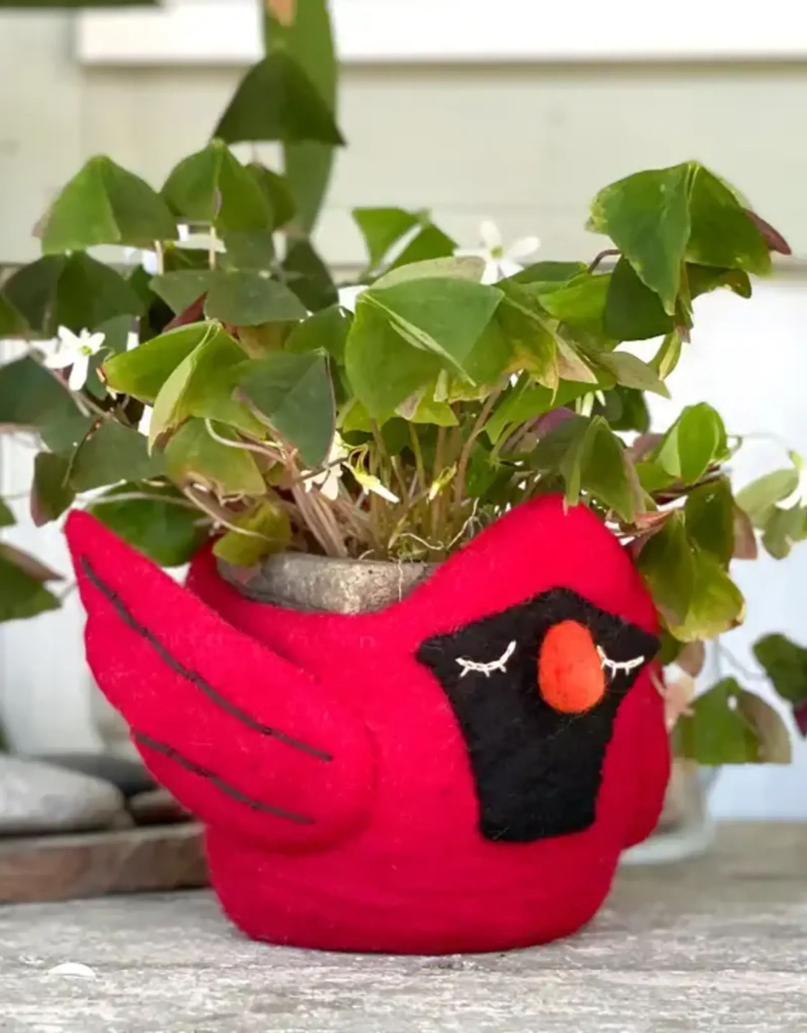 dZi Handmade Cardinal Felt Pot