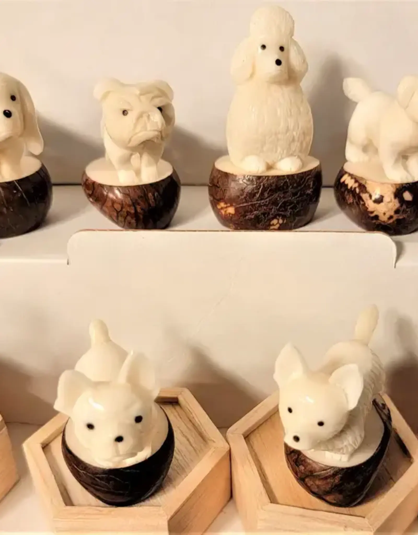 Pampeana Tagua Dog Carving - Assorted