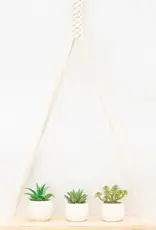 Starfish Project Dignity Hanging Shelf