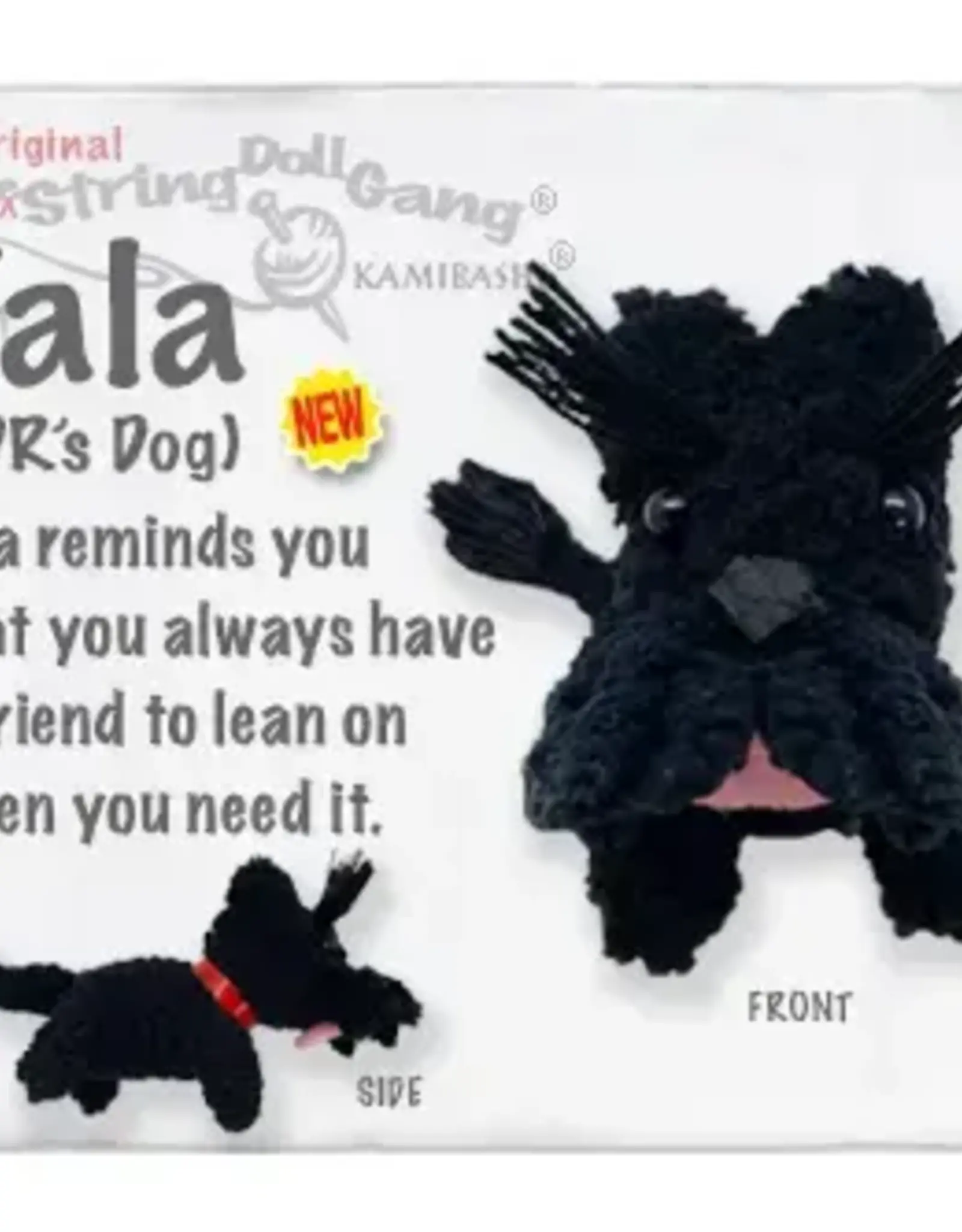 Kamibashi Fala (FDR's Dog)