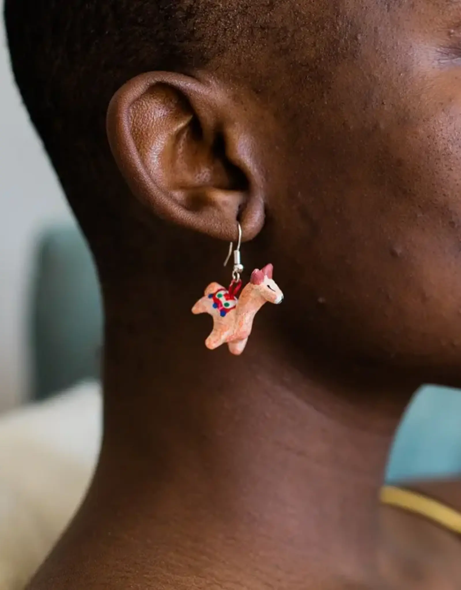 Lucia's Imports Ceramic Earrings (Assorted)