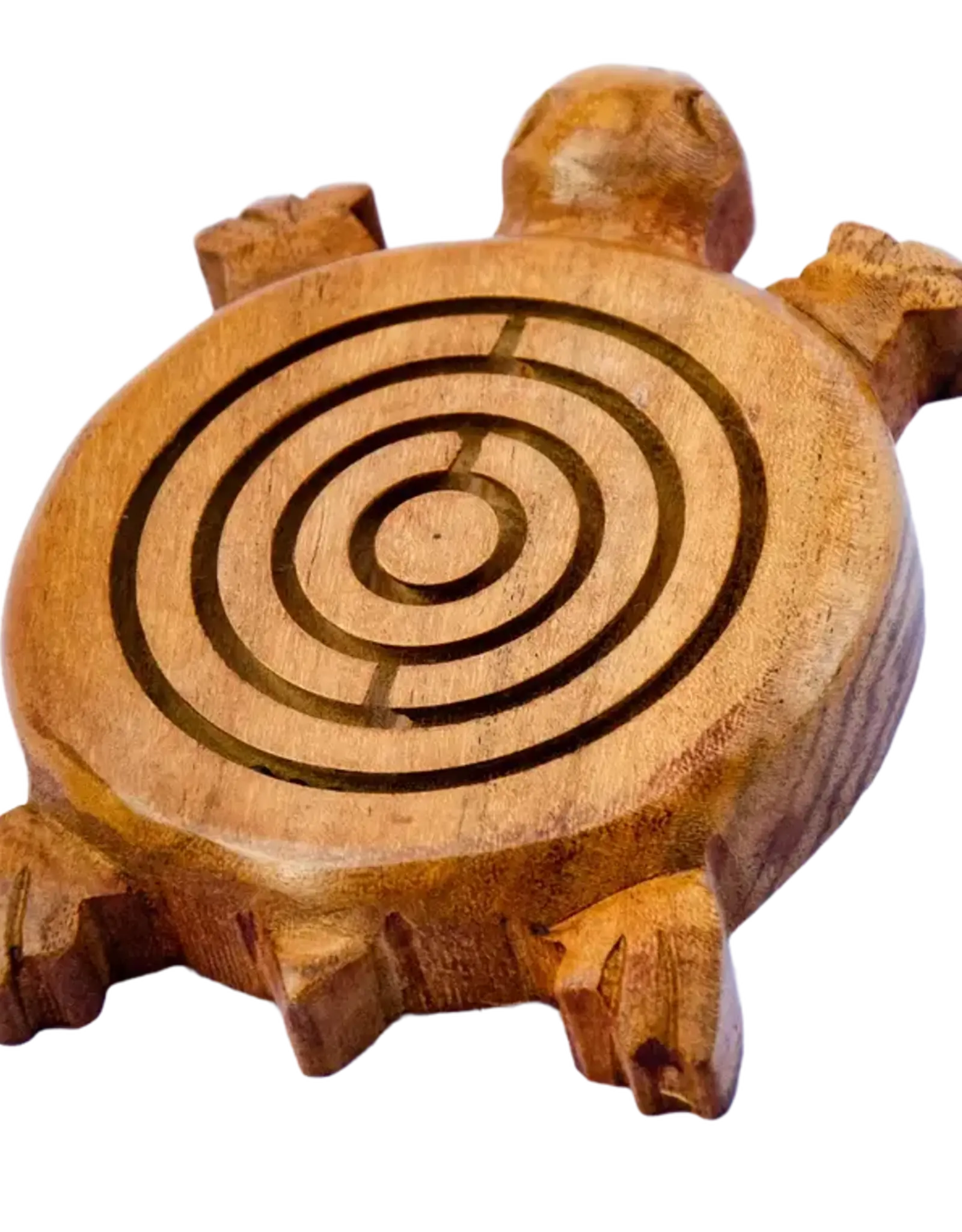 Hopes Unlimited Turtle Labyrinth