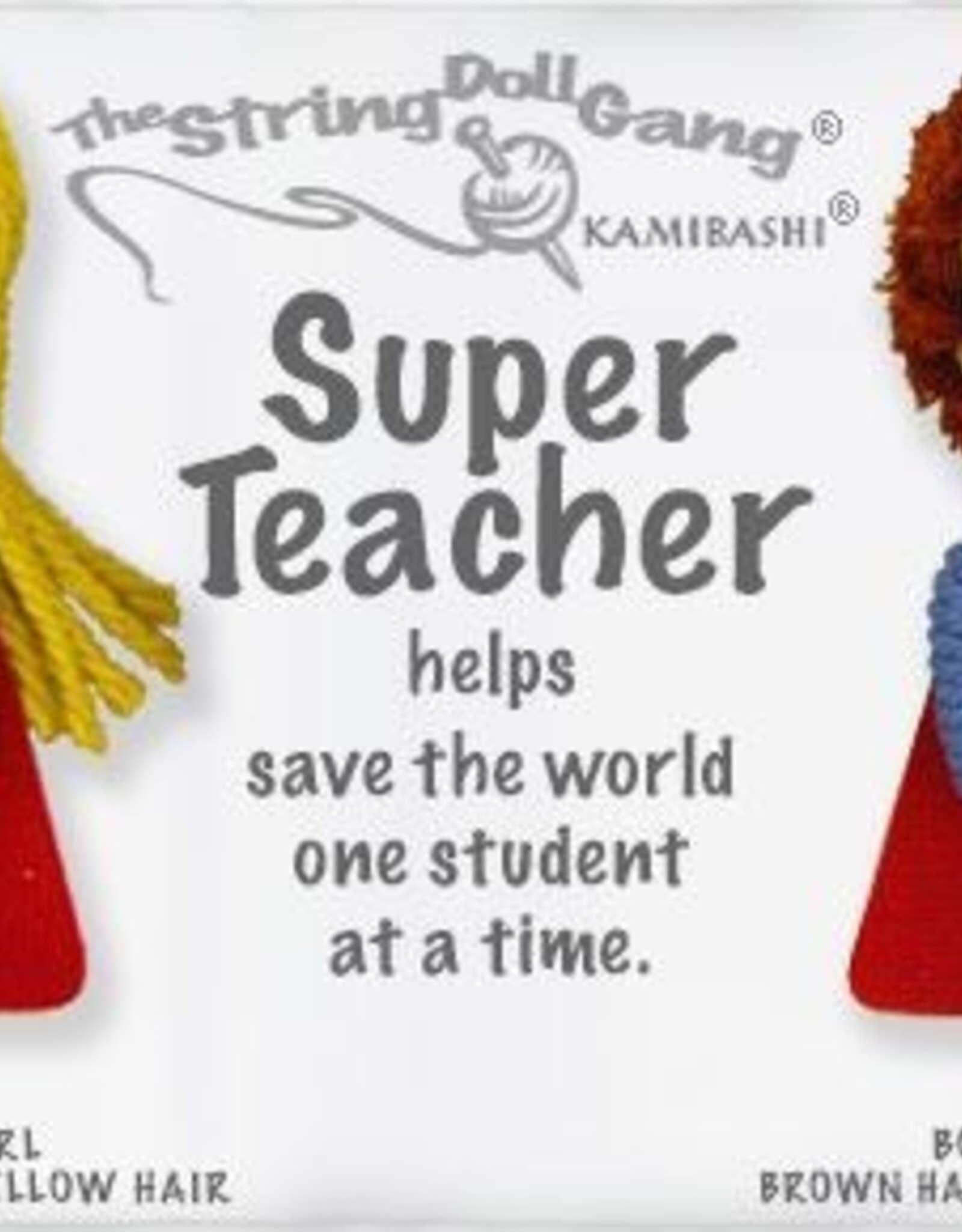 Kamibashi Super Teacher (Long Hair)