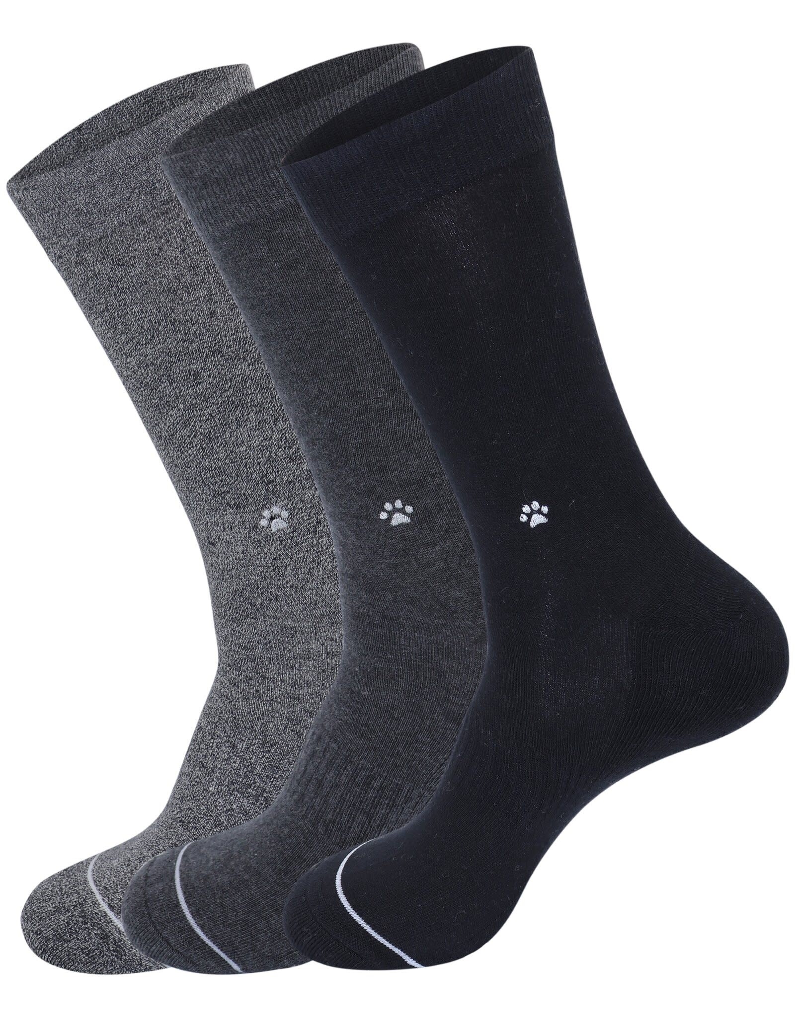 Conscious Step Socks that Save Dogs Box Set of 3