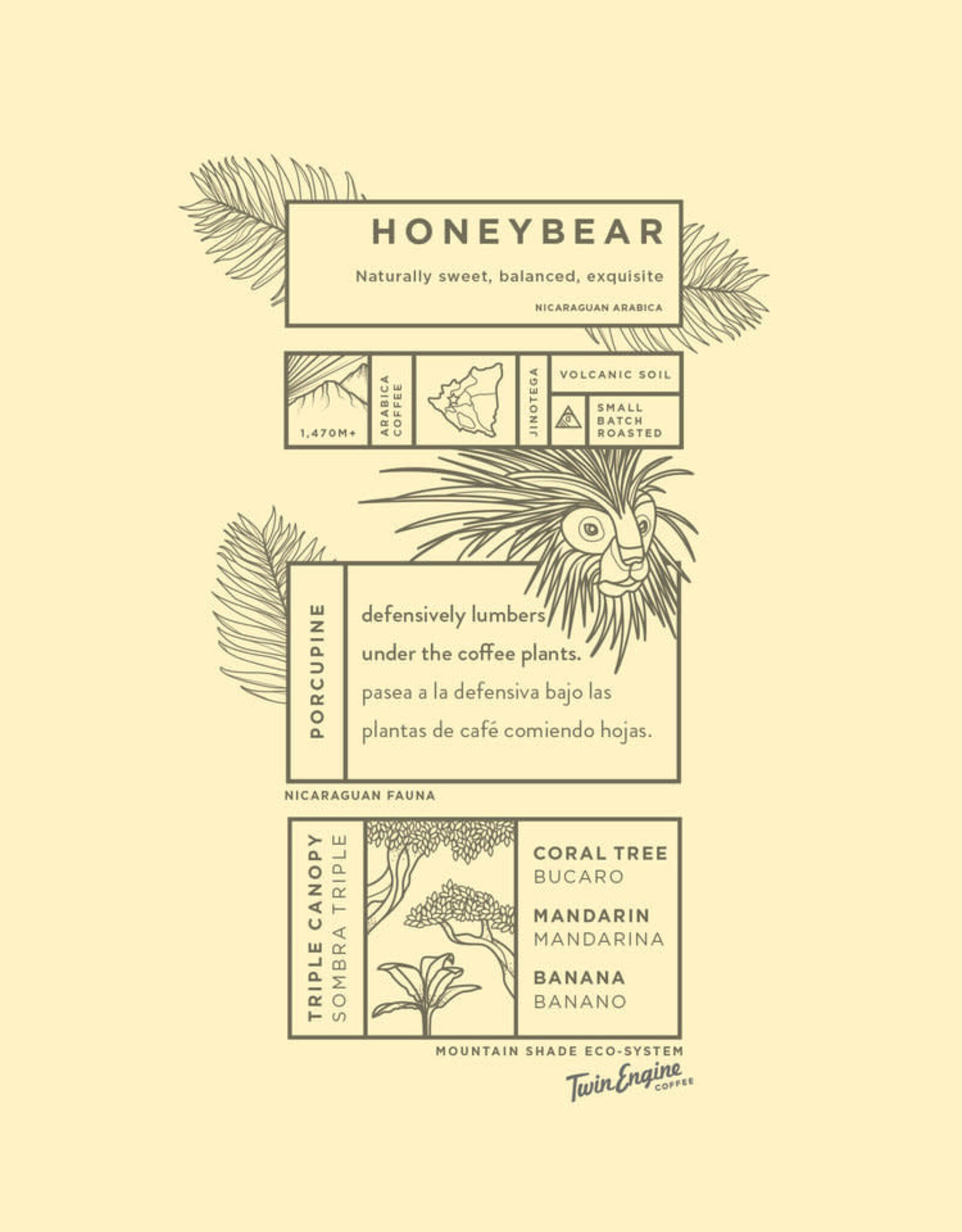 Twin Engine Honey Bear Reserve Coffee