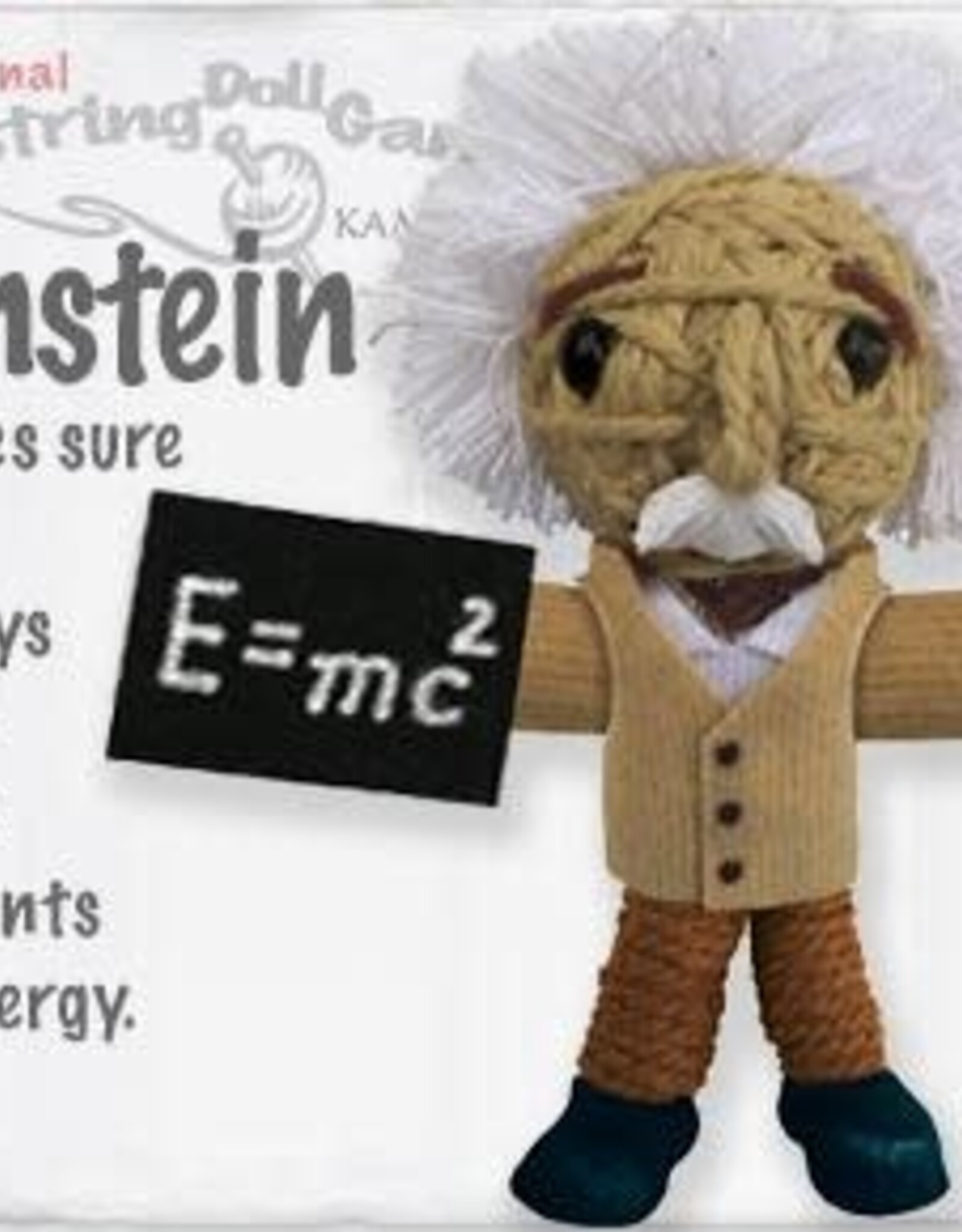 Kamibashi Einstein