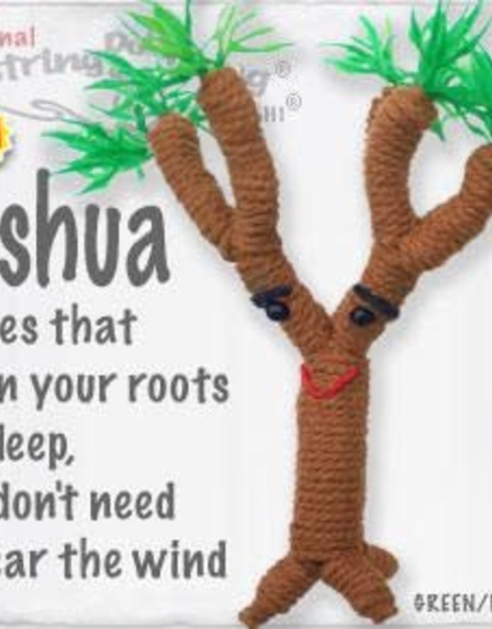 Kamibashi Joshua