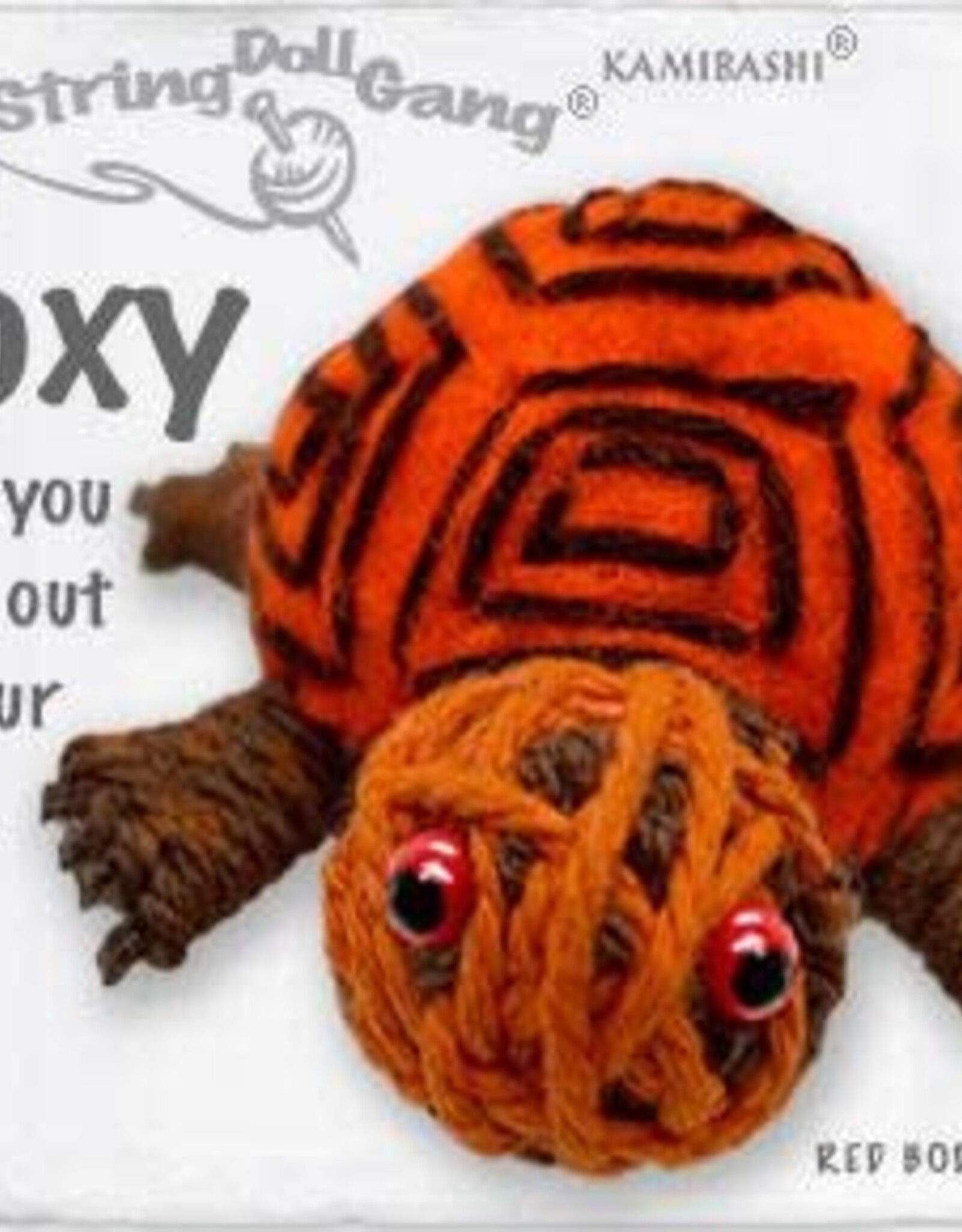 Kamibashi Boxy The Box Turtle