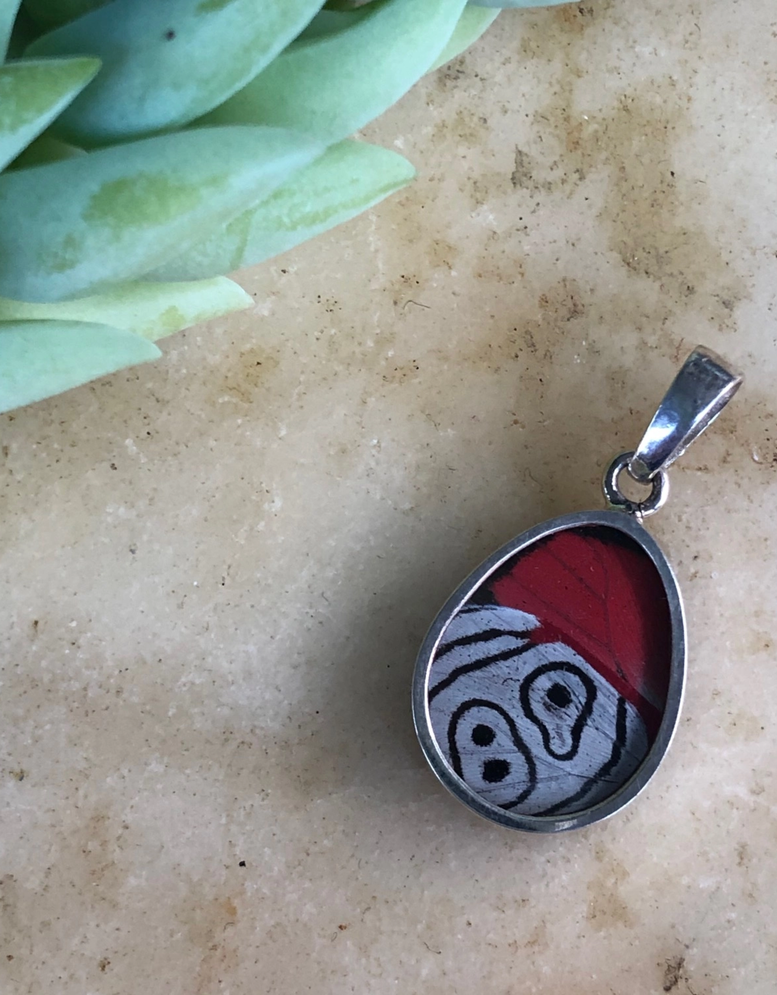 Women of the Cloud Forest 88 Butterfly Pendant