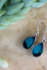 Women of the Cloud Forest Three-Toned Prepona Butterfly Earrings