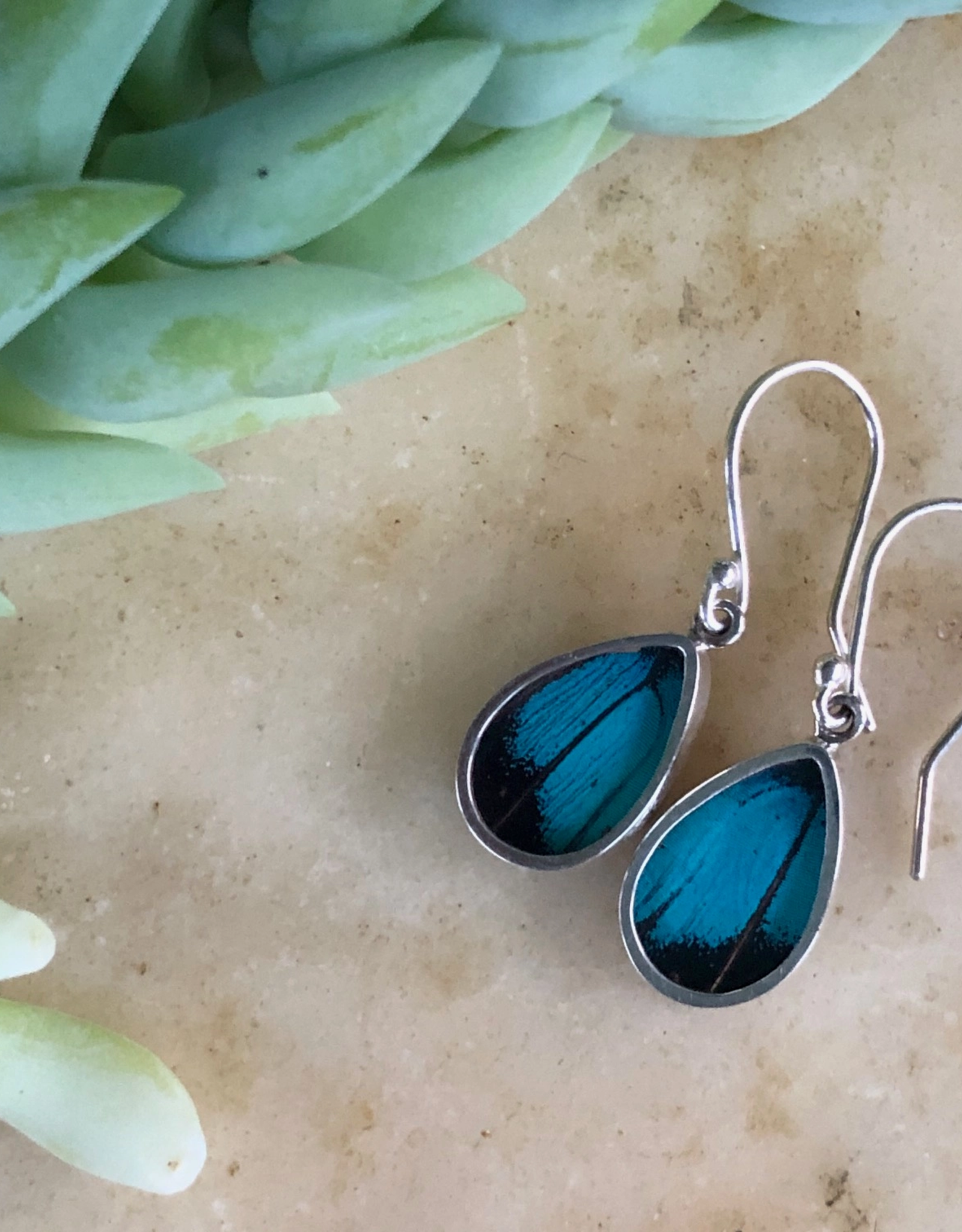 Women of the Cloud Forest Three-Toned Prepona Butterfly Earrings