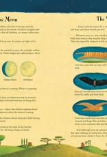Barefoot Books I Took the Moon for a Walk