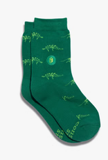 Conscious Step Kids Socks that Give Books (Dino)