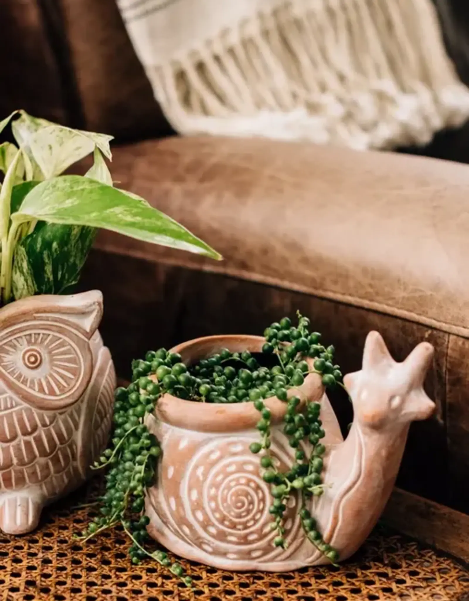 Ten Thousand Villages Snail Planter