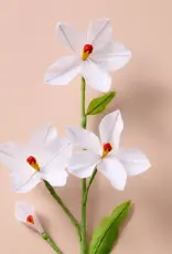 Ten Thousand Villages Silk Paper Flowers (Paperwhite)