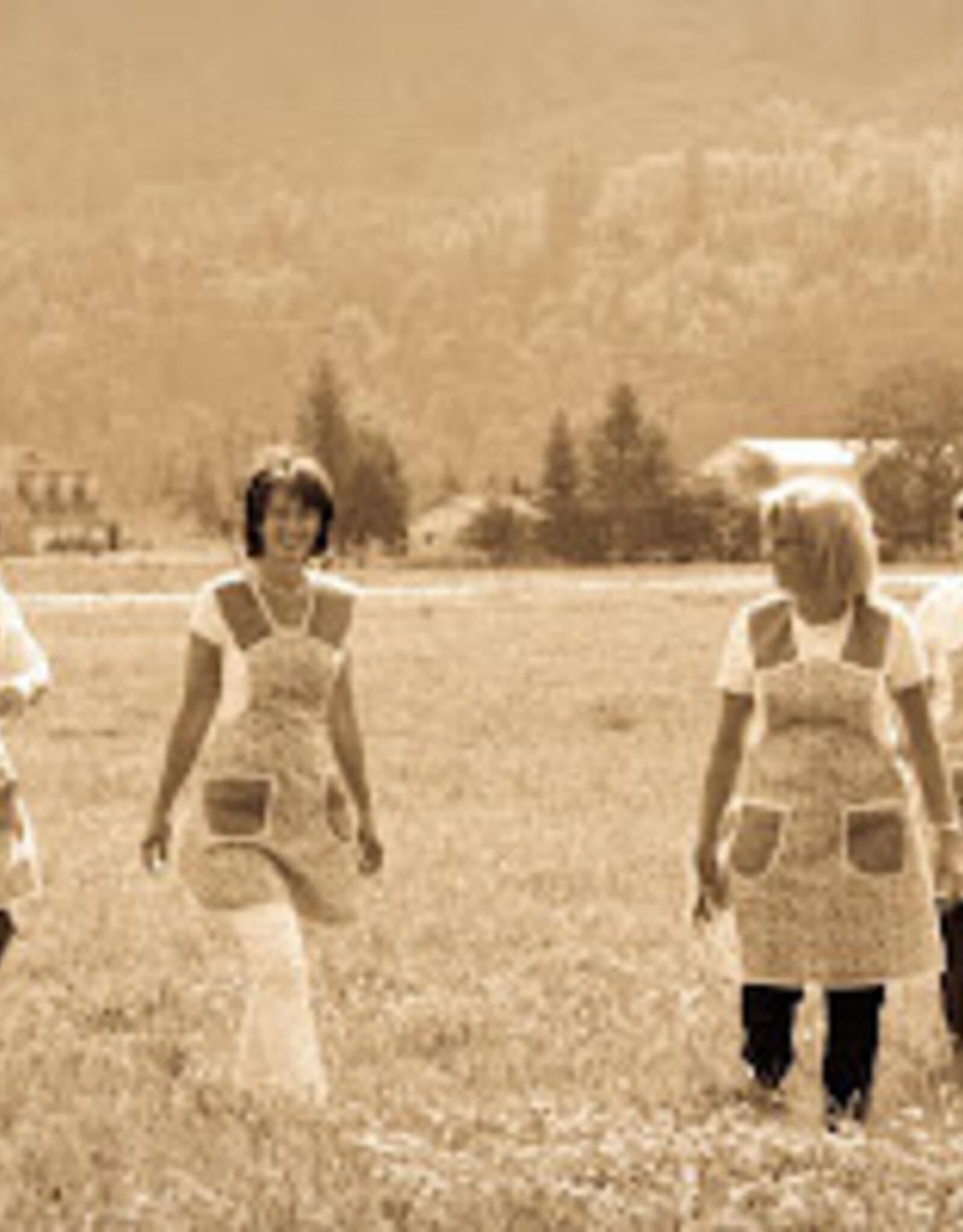 Mennonite Girls Can Cook Hardcover – Illustrated