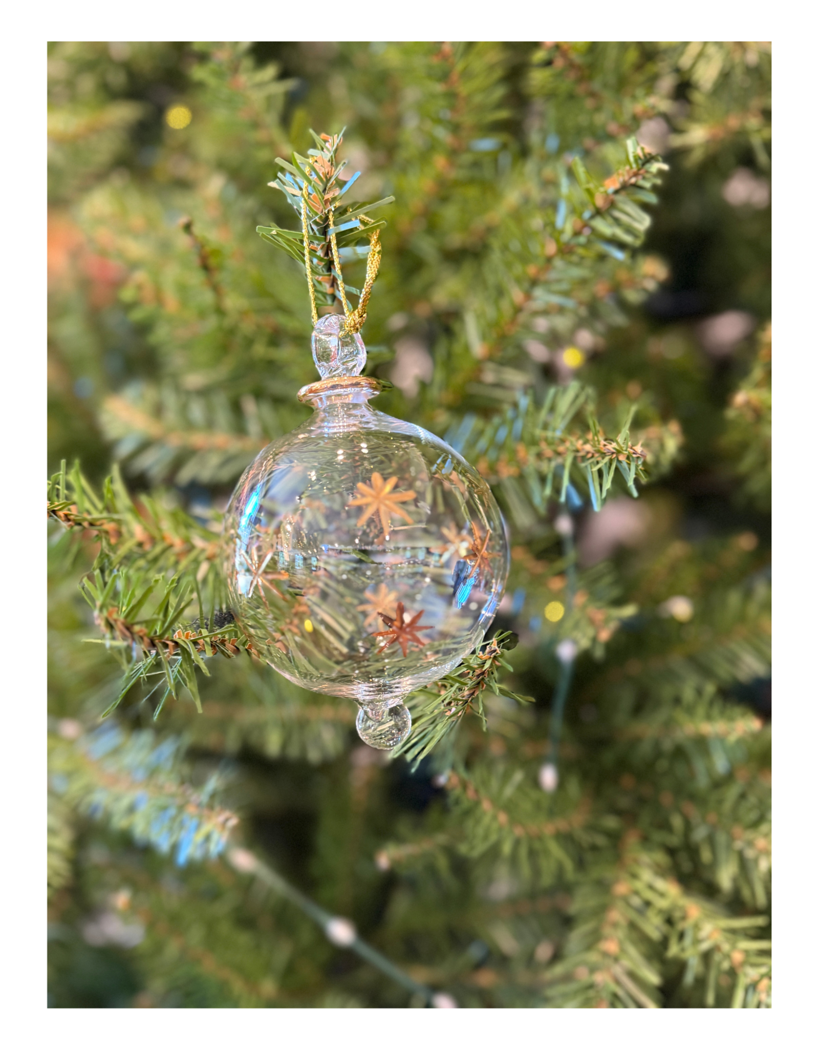Dandarah Blown Glass Ornament - Gold Stars Lititz